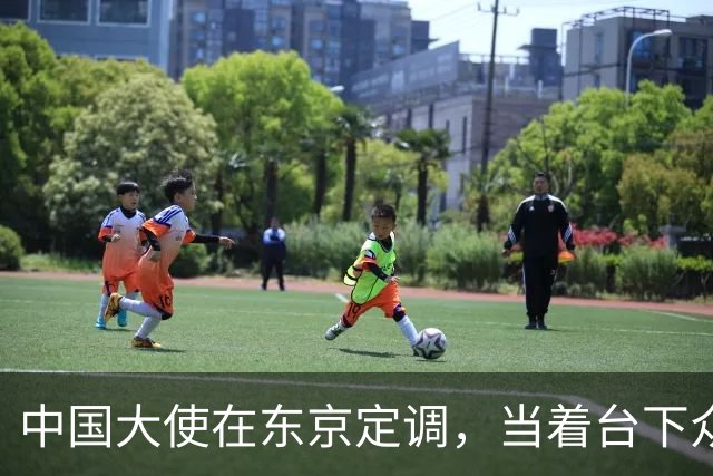 中国大使在东京定调，当着台下众多日本嘉宾，一些话说的很重