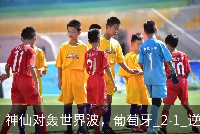 神仙对轰世界波，葡萄牙 2‑1 逆转挪威