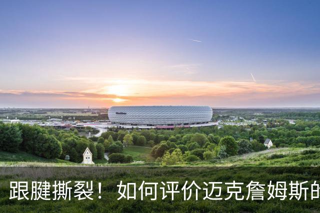 跟腱撕裂！如何评价迈克詹姆斯的生涯？
